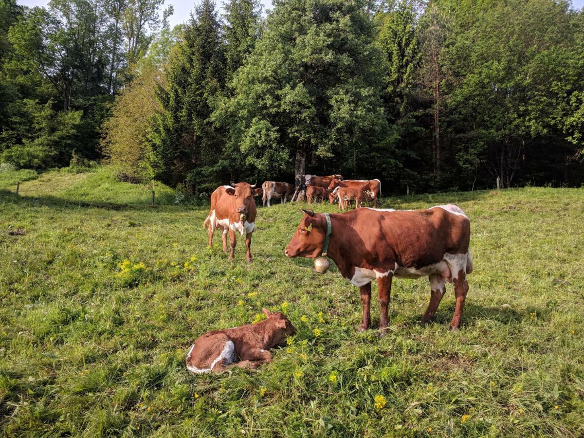 Puzman Farm Glamping Villa Radovljica Dış mekan fotoğraf
